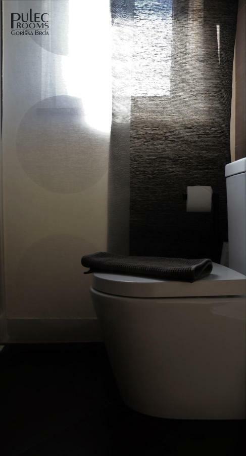 Apartma Sobe Pulec ドブロボ エクステリア 写真