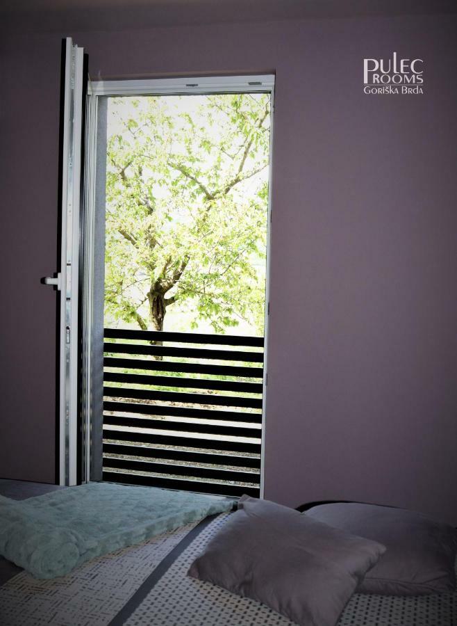 Apartma Sobe Pulec ドブロボ エクステリア 写真