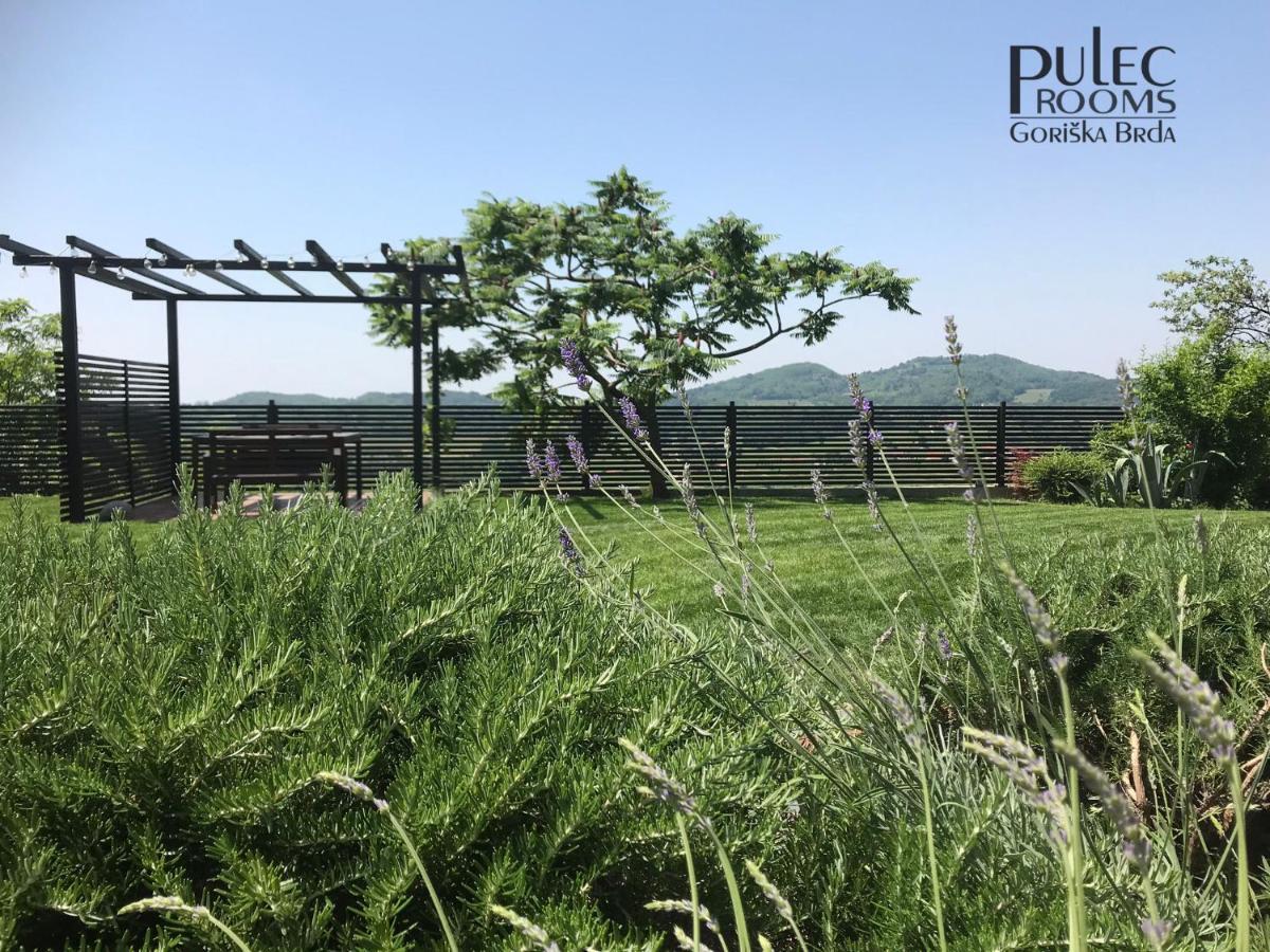 Apartma Sobe Pulec ドブロボ エクステリア 写真